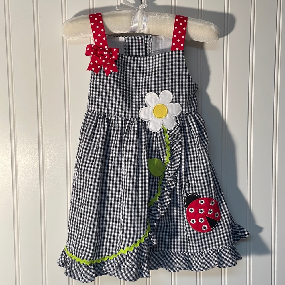 Emily Rose | Embroidered Dress | 2T